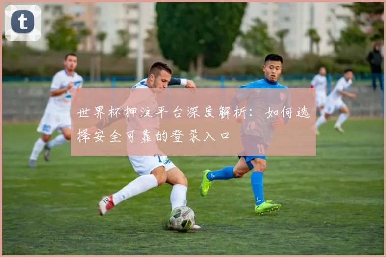 世界杯押注平台深度解析：如何选择安全可靠的登录入口
