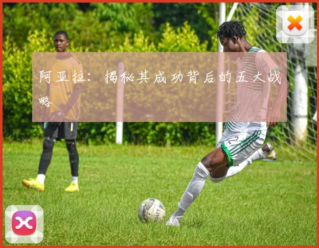 阿亚拉：揭秘其成功背后的五大战略