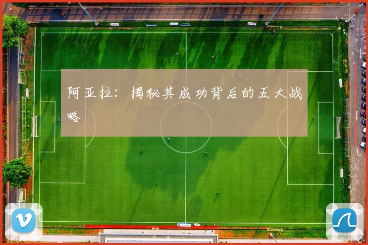 阿亚拉：揭秘其成功背后的五大战略